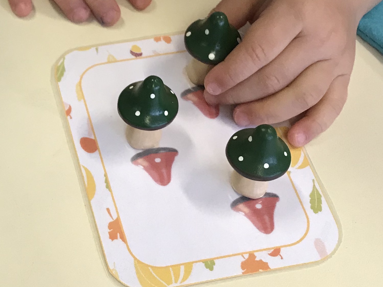 Progression programmations en maths (numération forme et grandeurs