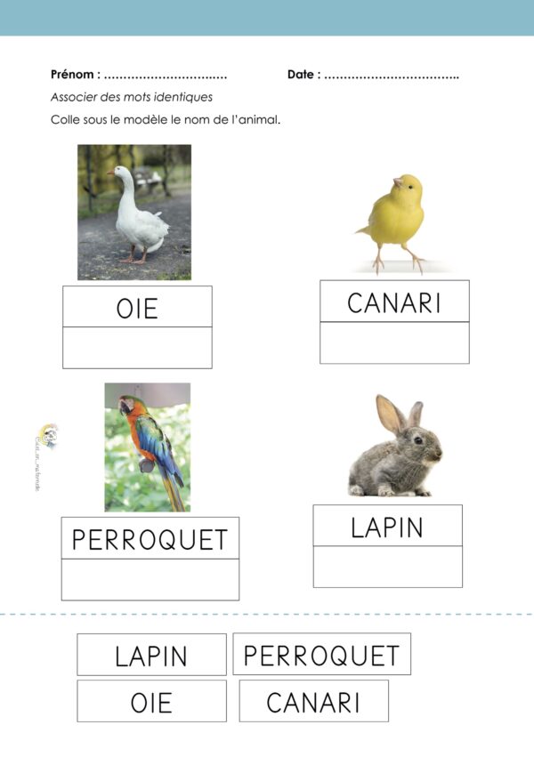 Apprendre autrement en maternelle – Image 15